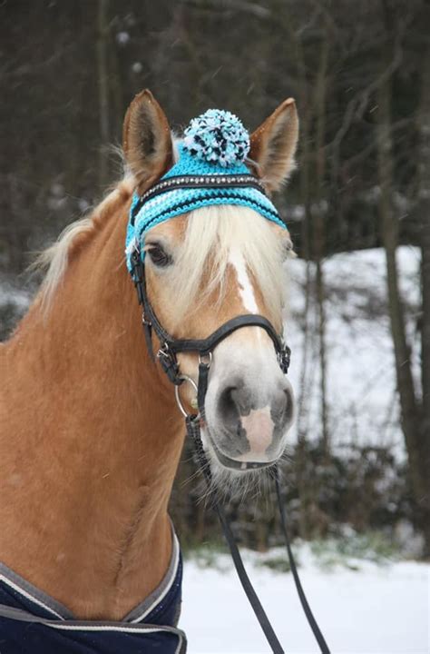 how to make a horse hat